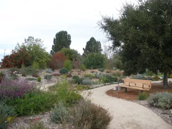 Quarry Lakes With Bench