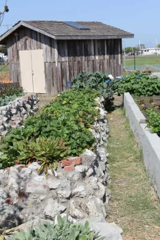 Raised beds, Job Corps Farm, San Francisco. Photo by Aziz Baameur