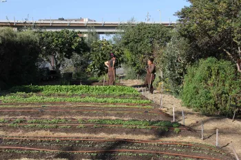 Urban Farming in Richmond. Photo by Aziz Baameur.