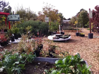 Ploughshares Nursery