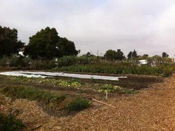 Ploughshares Nursery, Alameda, California