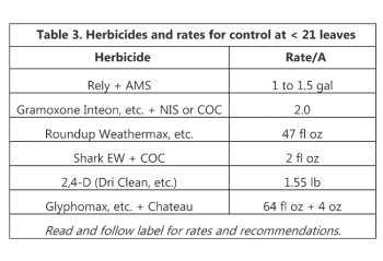Table 3 Herbicides and rates for control at < 21 leaves