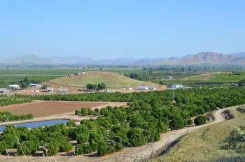 Hilltop view of LREC citrus