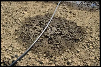 Drip Irrigation Wet Spot