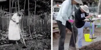 a black & white photo of a woman digging in a garden, and a color photo of two people shoveling in a garden