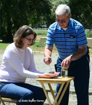 Norm Gary adds his special nectar to a sponge held by Barbara Allen-Diaz. (Photo by Kathy Keatley Garvey)