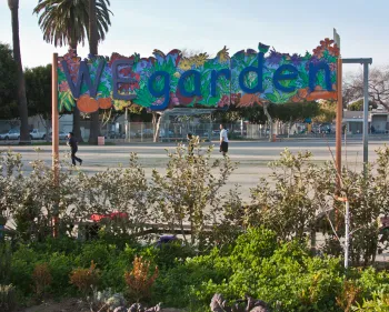 We Garden school garden