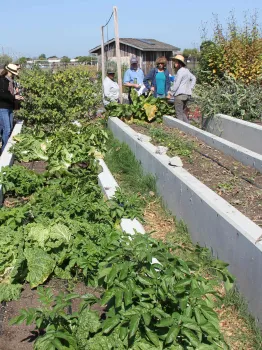 Michelle Obama Treasure Island Job Corps Farm, San Francisco, California