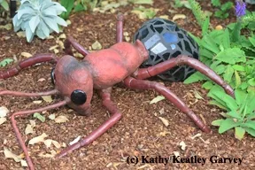 A ceramic ant nestled in the plant growth. (Photo by Kathy Keatley Garvey)