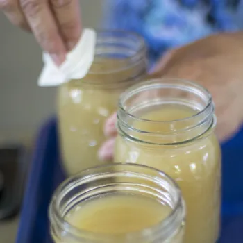 Safe Food Preservation Recipes and Info