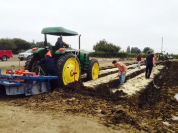 Installation of project