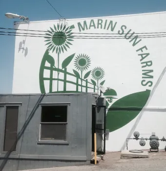 MSF Facility Cropped