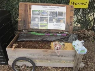 worm composting