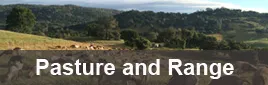 Pasture and Range