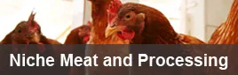 niche meat processing
