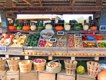 farm stand