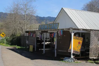 Gospel Flat Farm in Bolinas