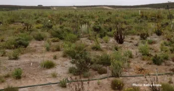 Do No Harm (photo by Kathy Kosta)