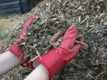 Mulch
