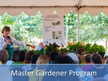 Woman using microphone, pointing to a chart and speaking to an audience