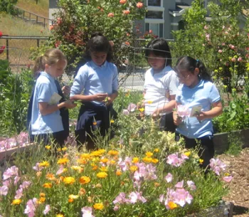 Four children in a flower garden, examining blooms and holding small bouquets amidst vibrant yellow and pink flowers.