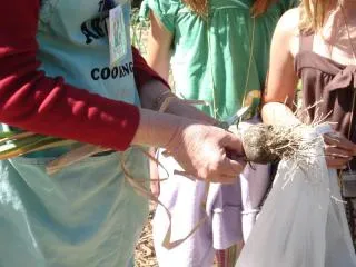A person in a red shirt holds a freshly harvested garlic bulb above a white bag, with children in colorful clothing visible in the background.