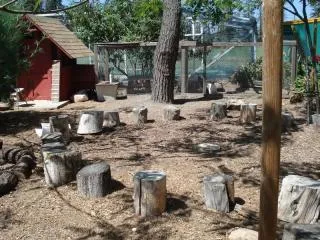 Outdoor classroom with a semi-circular arrangement of logs for seating, surrounded by dirt and wood chips, with a small red shed and a fenced area in the background.