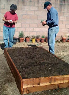 Two people tending to a new wooden raised garden bed filled with soil; one examines seed packets while the other plants seeds.