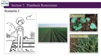 Screen shot of one of the scenarios in the course.