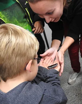 UC Davis graduate student Jessica Gillung, a doctorate candidate, shows a youngster a Madagascar hissing cockroach. (Photo by Kathy Keatley Garvey)