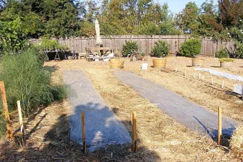 Soil solarization. Click to enlarge.