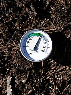 Compost thermometer
