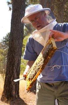 Noted entomologist Steve Sheppard of Washington State University will keynote the UC Davis Bee Symposium. (Photo courtesy of Washington State University)