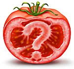 What's wrong with my plant?