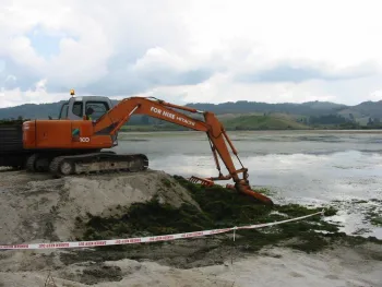 Weed rake removing coontail in New Zealand