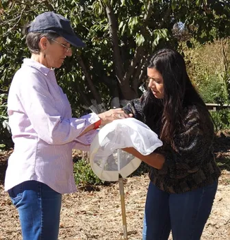 UC Davis professor Lynn Kimsey (left) examines a find by a student on an insect-collecting trip. Kimsey directs the Bohart Museum of Entomology, home of nearly eight million insect specimens. (Photo by Kathy Keatley Garvey)