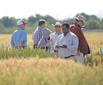2017 FieldDay (photo credit: E. Kilmartin)
