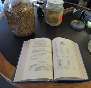 A nematode display by the UC Davis Department of Entomology and Nematology at a campuswide Picnic Day. (Photo by Kathy Keatley Garvey)