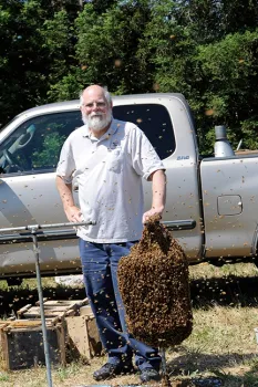 Kim Flottum, editor of Bee Culture magazine and a WAS speaker, stands by a bee cluster to be used for a bee wrangling demonstration by Norm Gary, emeritus professor of entomology at UC Davis. Gary spearheaded the founding of WAS.(Photo by Kathy Keatley Garvey)