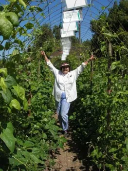 A master gardener stands in a bean-trial arbor with arms raised, surrounded by lush green foliage.
If you need any adjustments or additional information, feel free to ask!