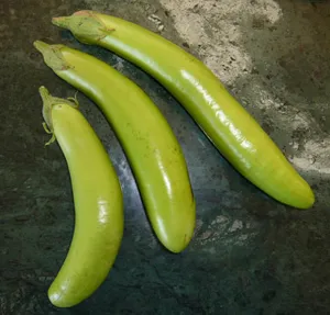 Three elongated green Thai Roleks eggplants of varying sizes, arranged from smallest on the left to largest on the right, on a dark surface.