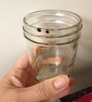 Given a few key elements, mold can develop. Discard canned products with any sign of mold. Photo credit: UC Master Food Preserver Program.