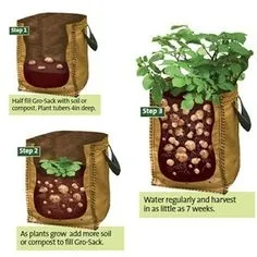 Potato growing bags.