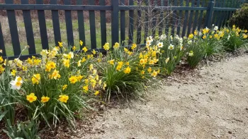 Happy, happy, happy!