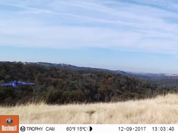 25394665 1740219315990966 3271245788746032223 o