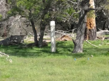 This is the HOBO micro station, it takes soil temperature and moisture readings, under closed canopy.
