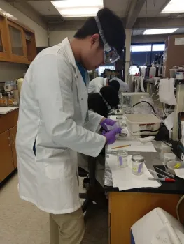 Hung Kieu adjusting the netting on a lid of a jar with larval mosquitoes. Larval mosquitoes were reared in differing concentrations of glyphosate in the lab to determine potential direct effects. Lydia (Eun Sun) Kim and Christopher Jason seen working in the background.