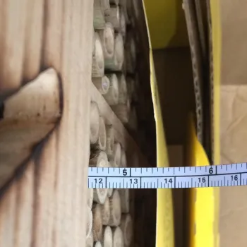 Nesting tube depth of the Bambeco bee house