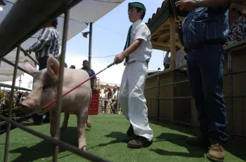 545729_146012028858996_1451530555_n