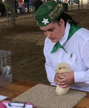 Intermediate Cavy Show Reagan Ochalek